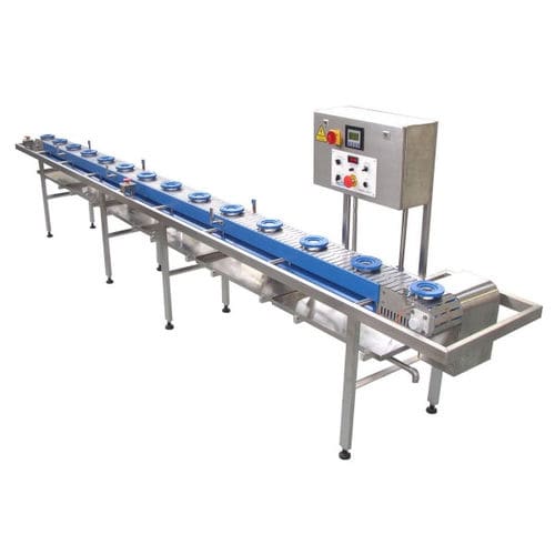 Chain conveyor - Riggs Auto Pack Ltd - transport / modular / for the food industry