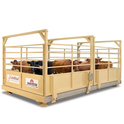 Livestock scale LSC Series Cardinal Scale platform / lb / steel