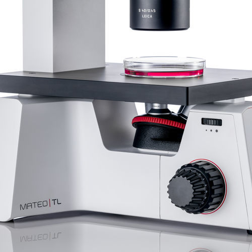 Digital microscope - Mateo TL - Leica Microsystems GmbH - for research / for cell culture / inverted