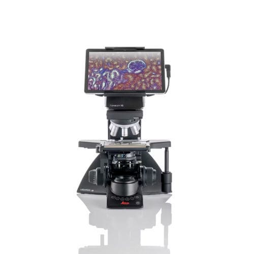 Optical microscope - Visoria B - Leica Microsystems GmbH - laboratory / for materials research / clinical