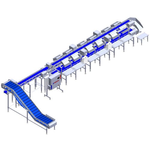 Fish grader - PERUZA limited liability company - belt / with conveyor / scale