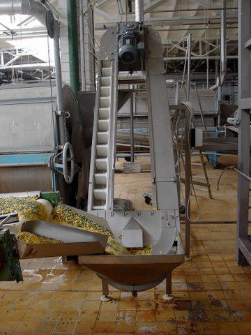 Belt bucket elevator - Sweere - Food Processing Equipment BV - for bulk materials / for conveyor
