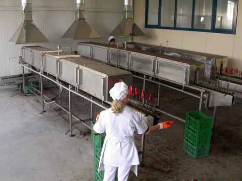 Tunnel oven - Thermohran Engineering JSC - baking / electric / stainless steel