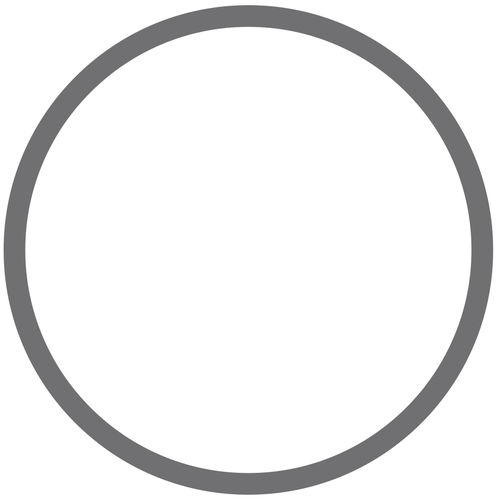 Round gasket - Topog-E 12003 - Phelps Industrial Products LLC - rubber ...