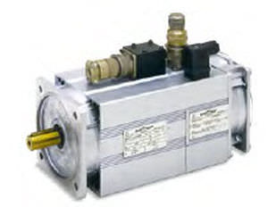 Asynchronous servomotor - QCAVS/QCAVP Sincrovert® - OEMER - AC