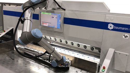 Automatic paper cutter - BASS Series - Baumann Wohlenberg