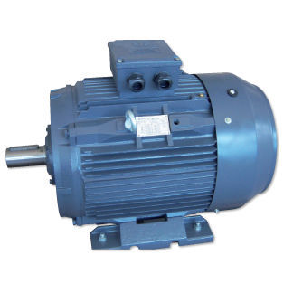 Asynchronous motor - EG SERIES - Simotop group - three-phase / 380 V / squirrel cage