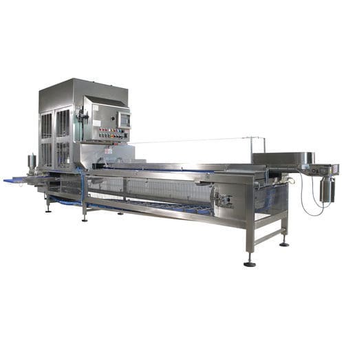 fruit slicing machine - PND Fruit Processing Machinery