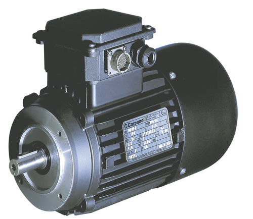 Asynchronous servomotor - MVS series - Carpanelli - AC