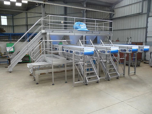 Cauliflower grader - LE FLOCH - for broccoli / vibrating / with conveyor