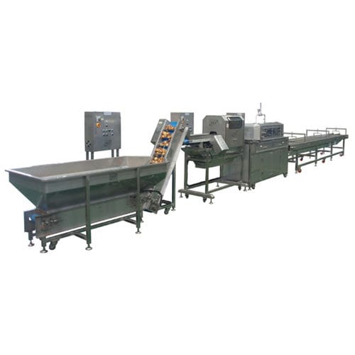 Onion peeling machine - P-O800 - TET Co. Ltd