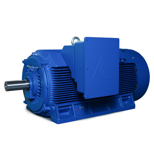 High-power motor - Y2 Series - Shandong Sunvim Motor Co., Ltd. - asynchronous / three-phase / 6000 V