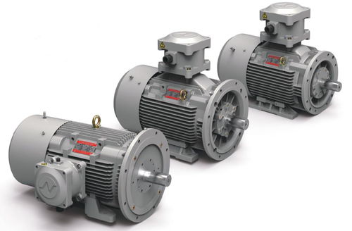 Induction motor - Shidae Electric Co.,Ltd. - three-phase / ATEX / IECEx