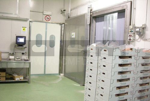 Swing door - OCM Industrial Doors - polyethylene / for cold storage / for the food industry