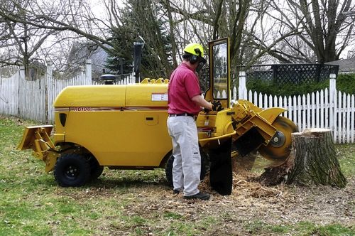 Self-propelled stump grinder - 66.8 - 99.2 hp (49.8 - 74 kW) | RG70, RG100 series - RAYCO
