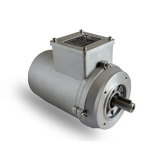 Induction motor - T series  - Neri Motori - three-phase / 400 V / corrosion-resistant