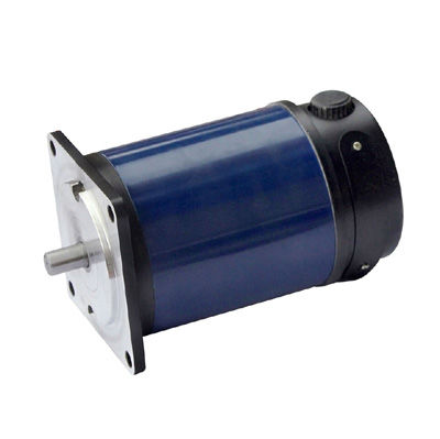 Brushed motor - 110ZYT series - Zhejiang Dongzheng Motor Co., Ltd. - DC / 220 V / 110 V
