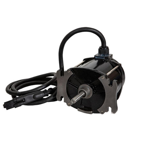 DC motor - 9031202 - Zhejiang Dongzheng Motor Co., Ltd. - 12 V / permanent magnet / IP67