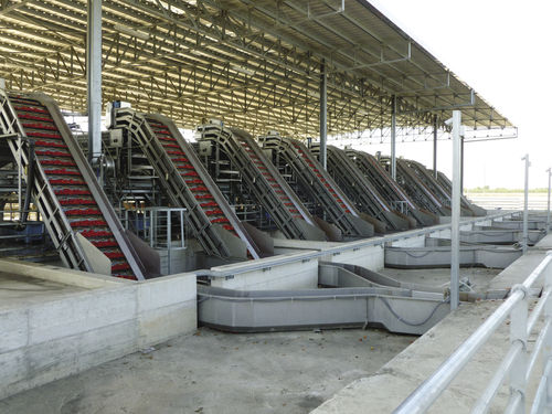 Lifting conveyor - Agromeccanica srl