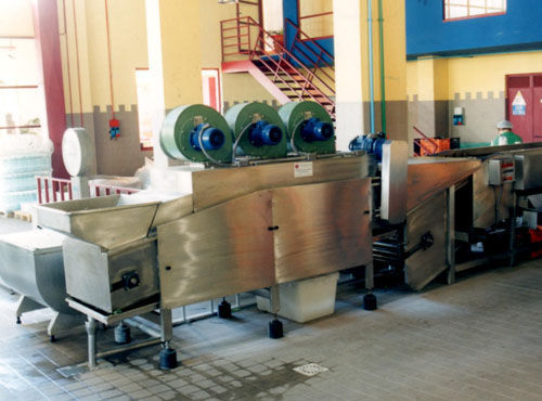 Citrus washing machine - Agromeccanica srl