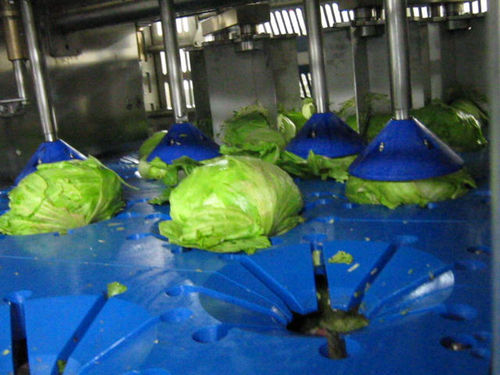 Salad coring machine - DSI-4P  - TECNOCEAM