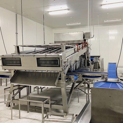 Shrimp classifier - Balzo