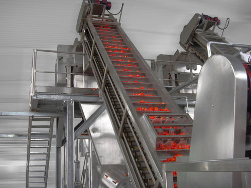 Tomato processing line - Alimenta Industries S.r.l. - polishing / sorting / washing