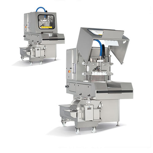 Fish brine injector machine - PIF series - Günther Maschinenbau GmbH ...