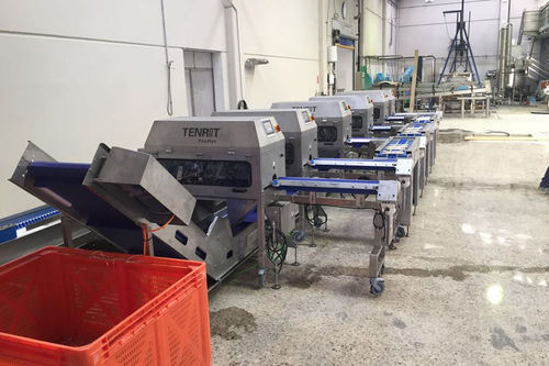 Asparagus peeling line - TENRIT Foodtec Maschinenbau GmbH