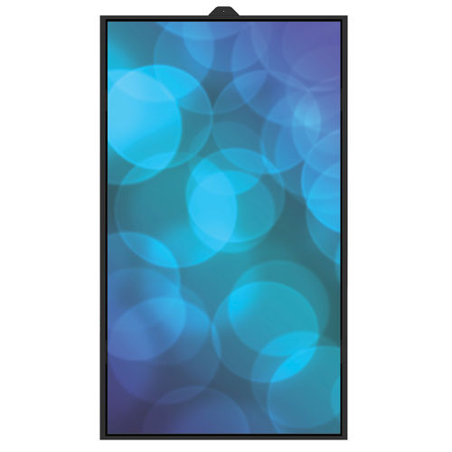 TFT LCD display - DS650HB - Shenzhen ZhengYuanTai Technology,Co,.Ltd. - 1920 x 1080 / 65" / HDMI