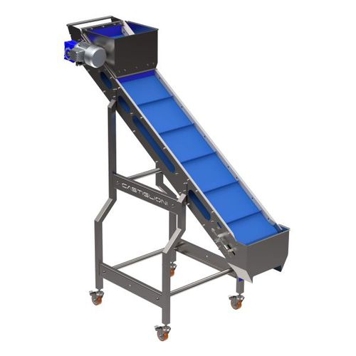 Belt conveyor - CASTIGLIONI - transport / for pasta / for the food industry