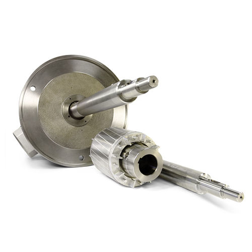 Induction motor - MOTORI BONORA SPA - AC / cast iron / stainless steel