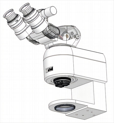 Optical microscope - Fujian RISING EO Technologies CO.,LTD - medical / binocular / zoom