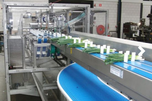 Vegetable processing line - Koppert Machines & Zonen B.V.
