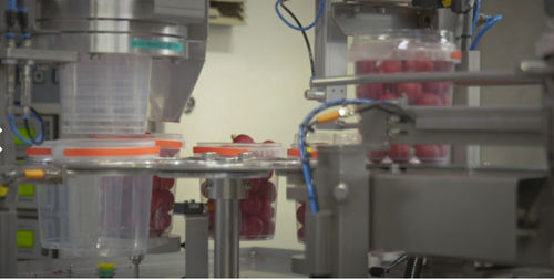 Automatic filler - Koppert Machines & Zonen B.V. - cup / for food products / for the food industry