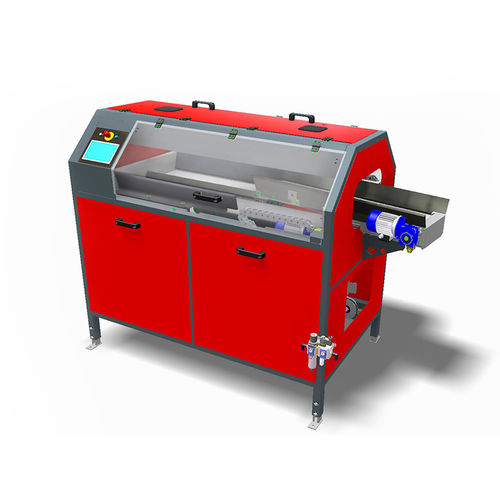 Fruit case packer - EBA-V1 - Talleres Daumar S.L. - for boxes / filling