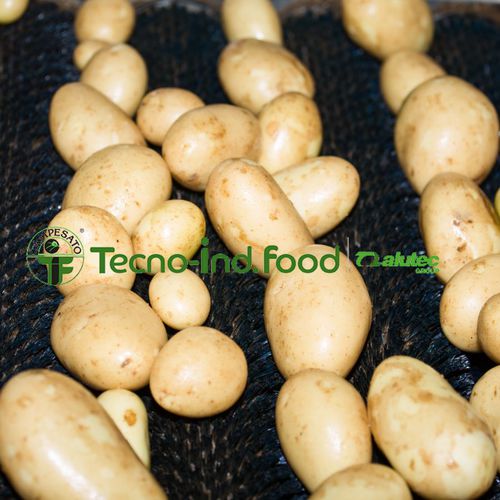 Potato processing line - Alutec Food CAMPESATO® - washing / sorting