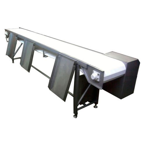 Belt conveyor - Diicma - handling / drum motor / meat