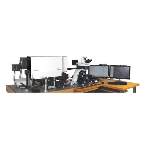 Raman microscope
