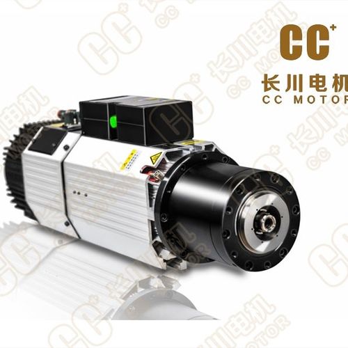Induction motor - MHS72-9012FSA - Haiyang Changchuan Motor Co., Ltd. - DC / 380 V / 220 V