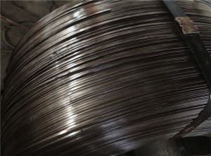 Wire spring - Nanjing Hengjie Industrial Co., Ltd. - steel / for mechanical components