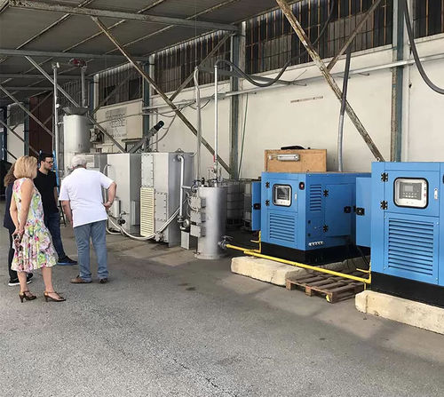 Biomass plant - HBF-60W - Shandong Pulita New Energy Technology Co., Ltd.