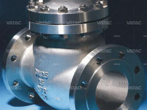 Swing check valve - Vatac Valves (Wenzhou) Corporation - disc / piston / stainless steel