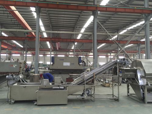Belt food washing machine - QXJ-D - SHAOXING WALLEY FOOD MACHINERY CO., LTD. - for mushrooms / cucumber / for fruit