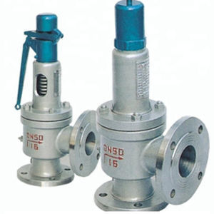 Steam safety valve - Valvesonly Europe - DIN / NPT / stainless steel