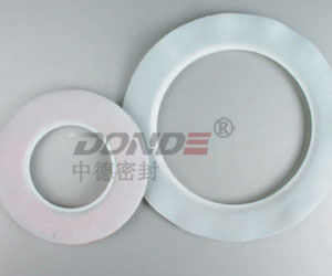 Graphite gasket - ZD-G1700 - cixi zonde sealing and gasket.co.,Ltd - rubber / PTFE / PVC