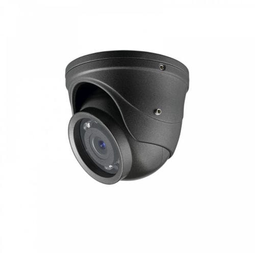 Analog camera - EMD935F - EverFocus Electronics Corporation - industrial / surveillance / IR