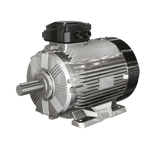 Asynchronous motor - WE3 series - Wolong Electric Group - three-phase / cast iron frame / aluminum-frame
