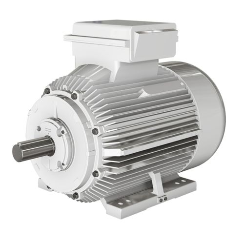 Asynchronous motor - BD series - Wolong Electric Group - single-phase / cast iron frame / IP55