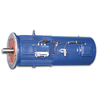 Asynchronous motor - Jiang Su Weiteli Motor Co.,Ltd - IP56 / wind turbine yaw / high-efficiency